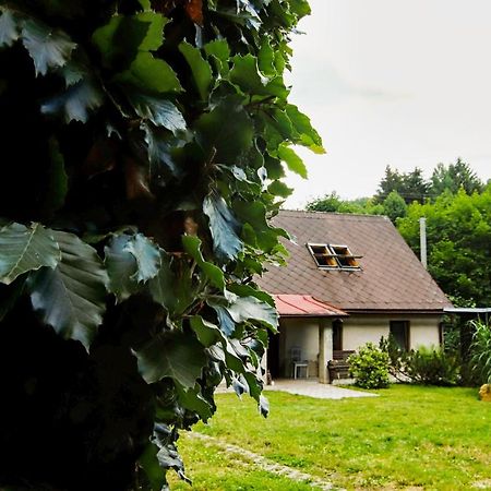 Chaloupka Žďárky Villa Exterior foto