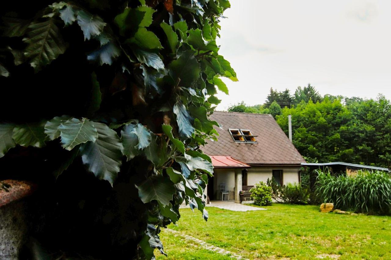 Chaloupka Žďárky Villa Exterior foto